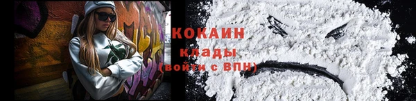 ПСИЛОЦИБИНОВЫЕ ГРИБЫ Алексеевка
